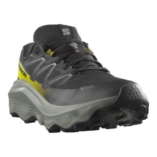Salomon Ultra Flow 2 Gore-Tex M Löparskor