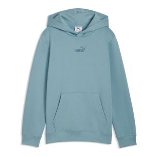 Puma Ess Small No.1 Logo Centered Hoodie FL B Huvtröja