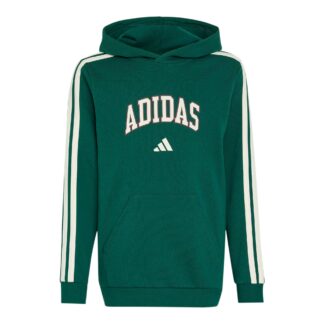 Adidas Codes Collegiate Graphic Hoodie Jr Huvtröja